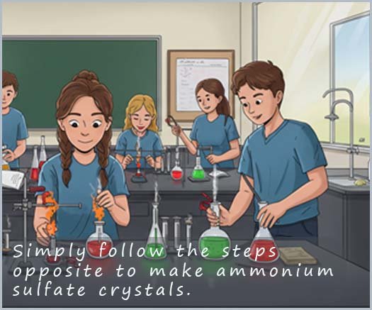 Students working in the chemistry lab to make ammonium sulfate crystals